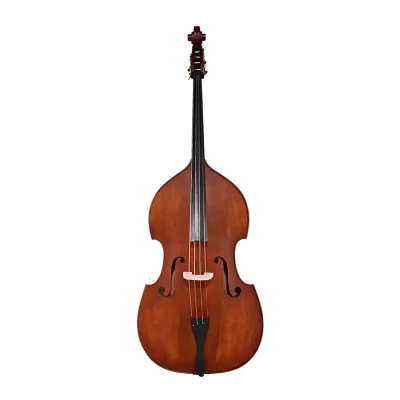 beginner spruce-top double bass front view for school orchestra
