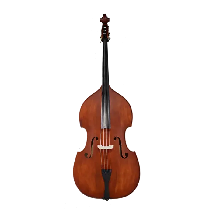 beginner spruce-top double bass front view for school orchestra
