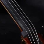 rosewood fingerboard double bass close-up for student practice