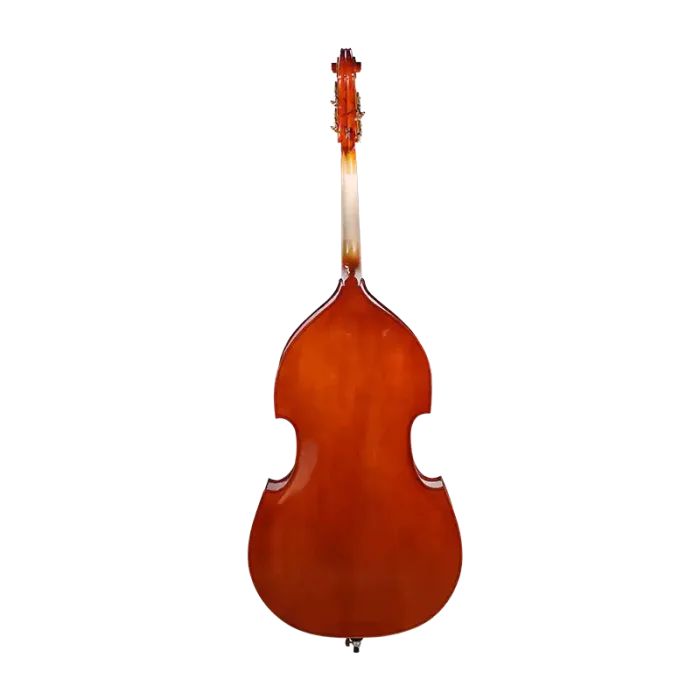 hybrid upright bass solid top grain close-up resonance detail