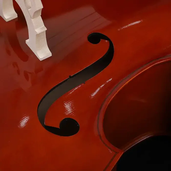 rosewood tailpiece on beginner double bass hardware close-up