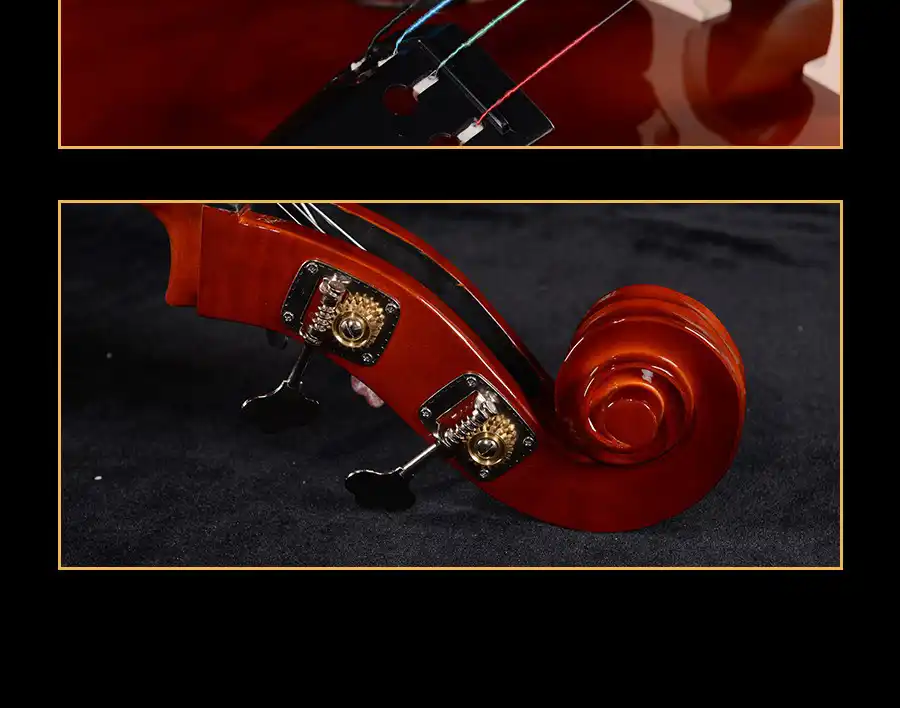 entry level upright bass glossy protective finish close-up