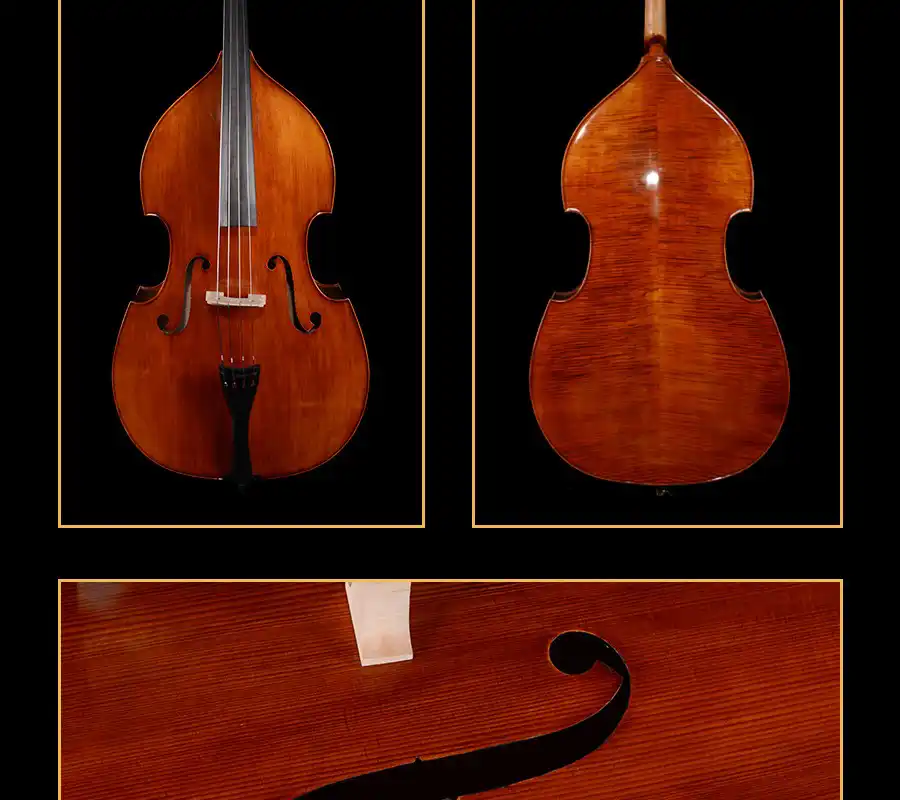 Professional double bass set: front and back views plus f-hole close-up, spruce and flamed maple
