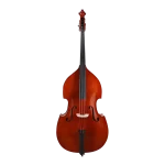 beginner solid-top double bass front view for school orchestra
