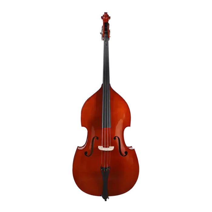 beginner solid-top double bass front view for school orchestra