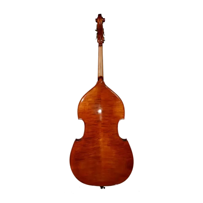 Professional double bass back view, flamed maple back, glossy varnish, wholesale supply