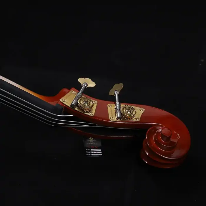 solid top laminated back bass rear view durable construction