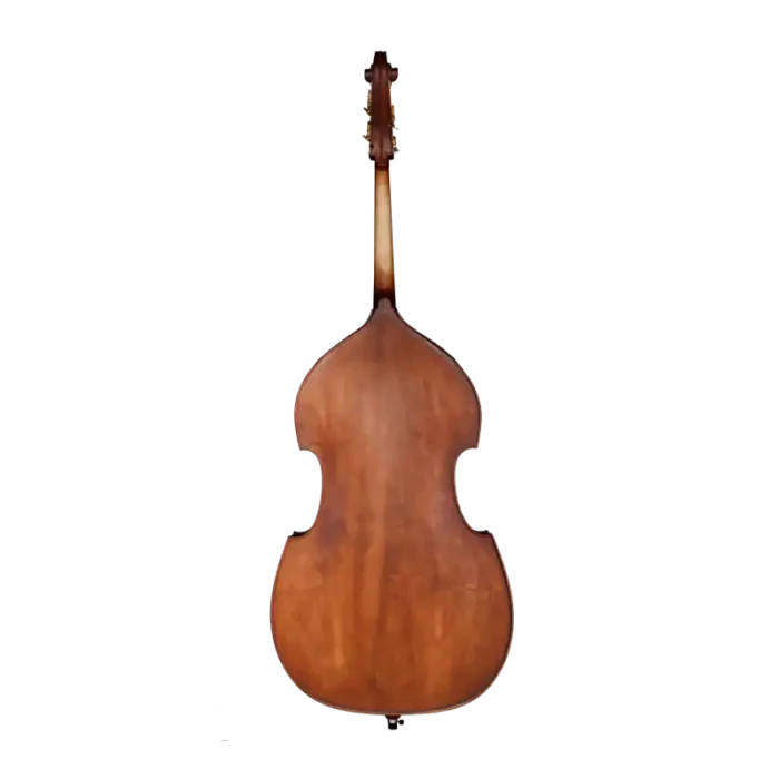 spruce top grain close-up on beginner double bass under light