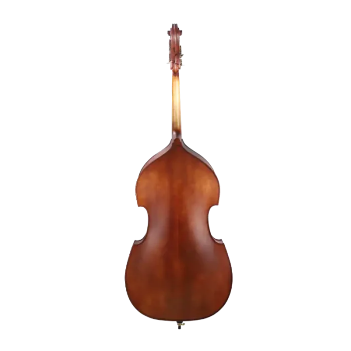 beginner double bass maple back matte varnish rear view