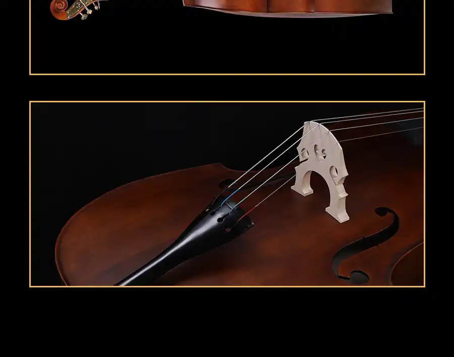 entry level upright bass bridge and strings detail