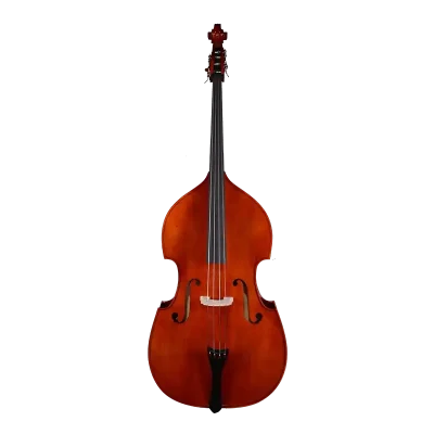 beginner laminated double bass front view for school orchestra