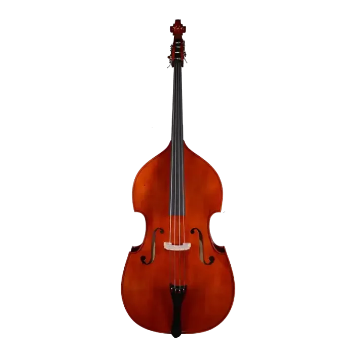 beginner laminated double bass front view for school orchestra