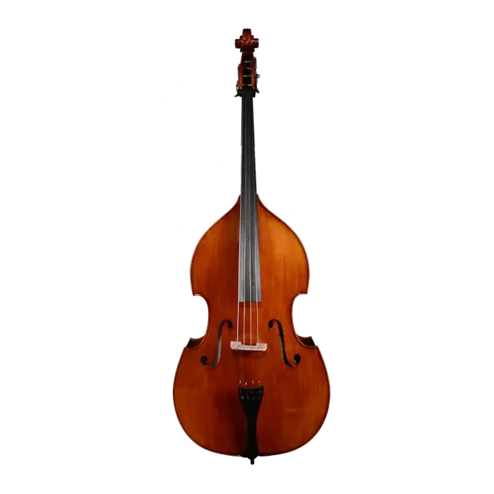 Professional double bass front view, spruce top, ebony fingerboard, factory direct