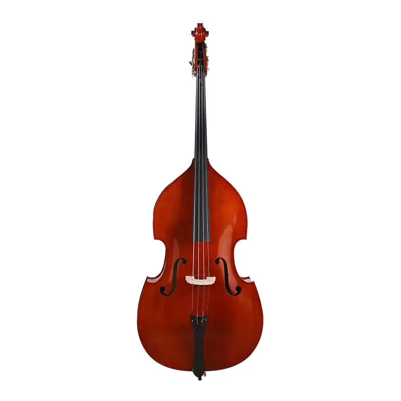 LB02 · Double Bass