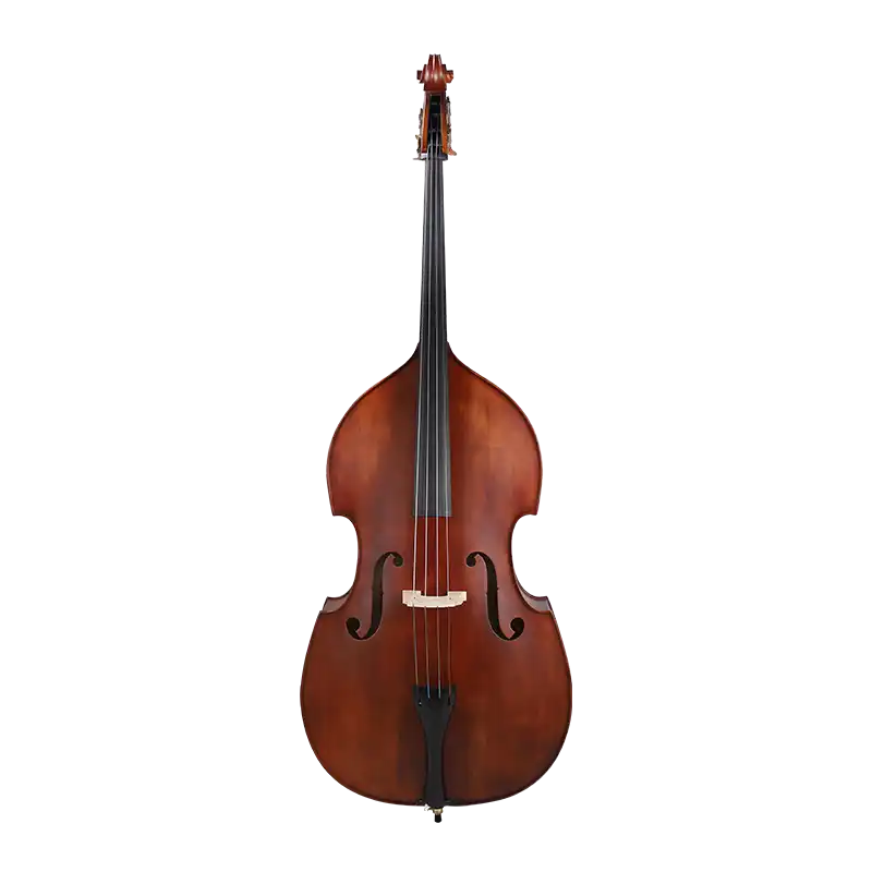 LB05 · Double Bass