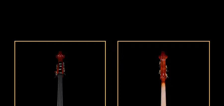 beginner double bass bridge and strings standard setup view