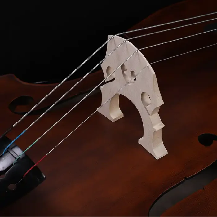 beginner double bass dual-machine tuners headstock detail