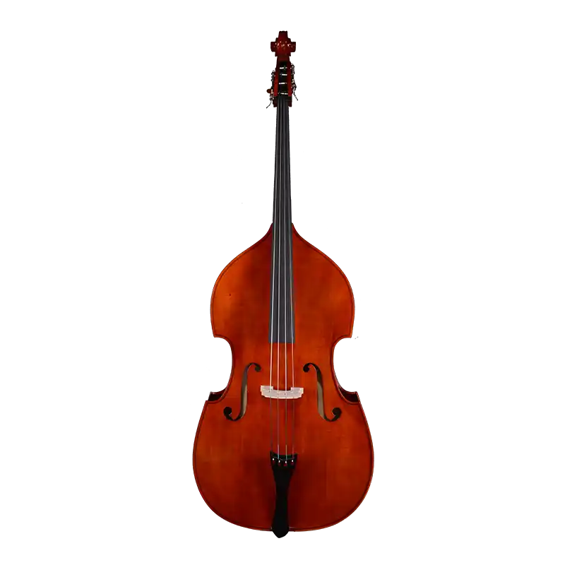 LB01 · Double Bass