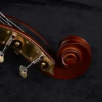 plate-style tuning machines two-on-a-plate double bass headstock detail