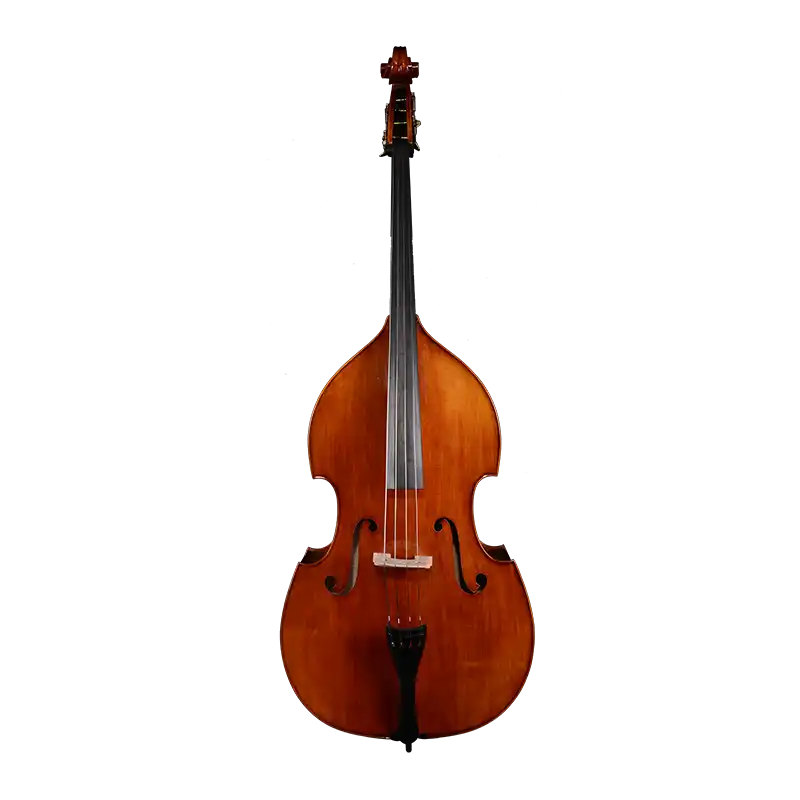 LB99 · Double Bass