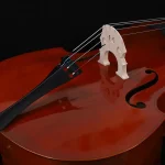 factory direct student double bass rosewood fingerboard close-up