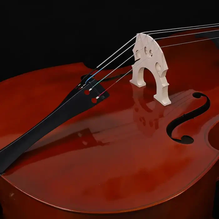factory direct student double bass rosewood fingerboard close-up