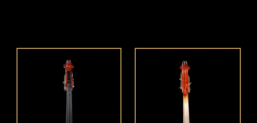 beginner solid-top double bass bridge and standard strings view