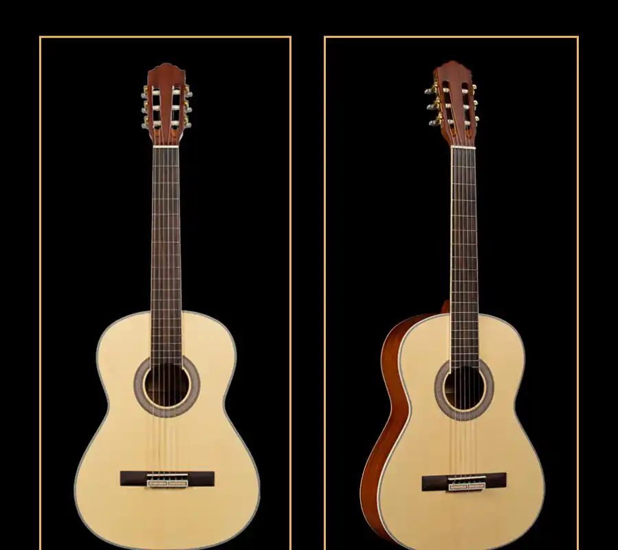 Soundhole rosette and rosewood bridge detail on laminated spruce top beginner classical guitar
