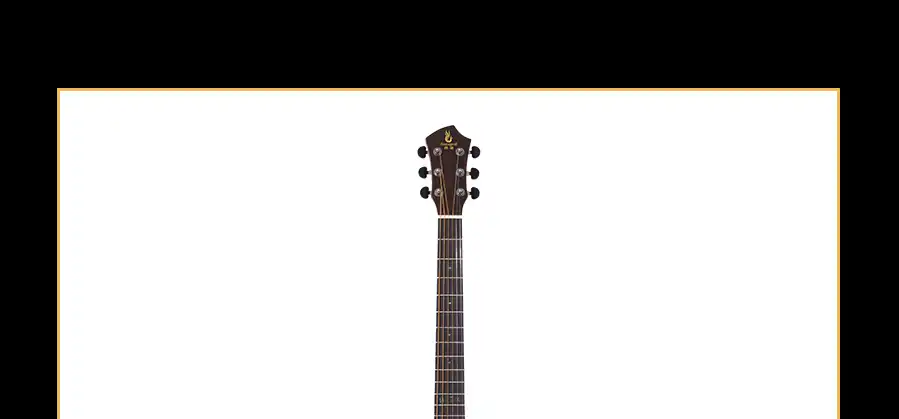 Intermediate acoustic guitar back view with clear body structure, suitable for importer distribution programs