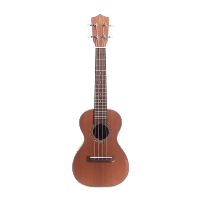 Laminated mahogany ukulele front view with rosewood fingerboard, beginner student model, factory direct