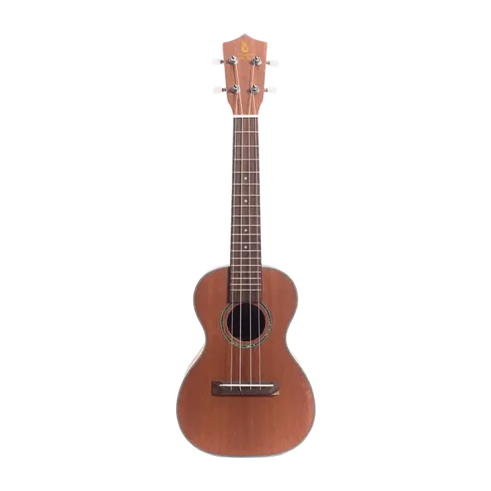 Laminated mahogany ukulele front view with rosewood fingerboard, beginner student model, factory direct