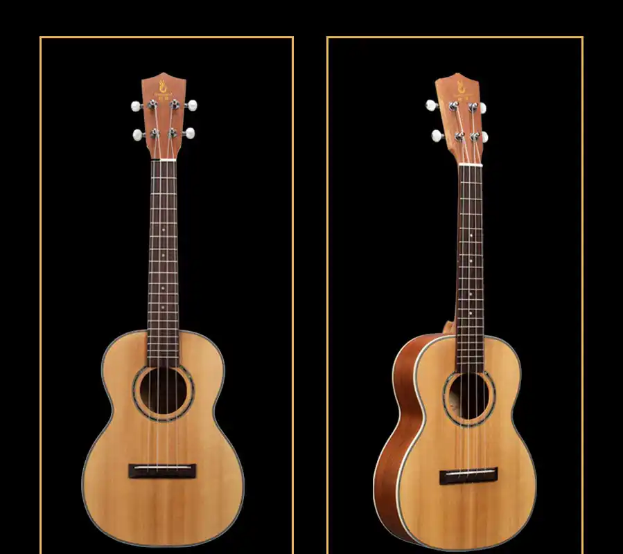 Mahogany back ukulele full rear view on white background, manufacturer direct supply for retailers