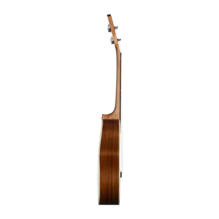 Acacia ukulele rear angle view with binding and mahogany neck, OEM u