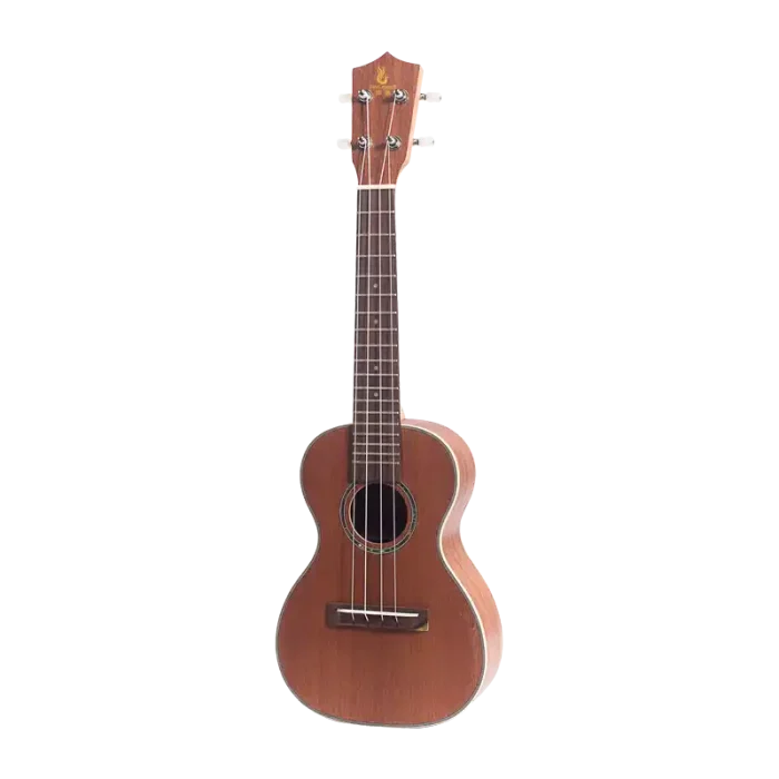 Mahogany ukulele full front product photo, rosewood bridge and fingerboard, ready stock for B2B wholesale