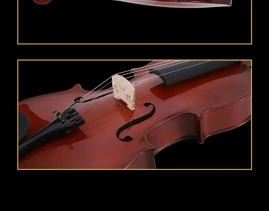 export ready beginner viola packaging and hard case