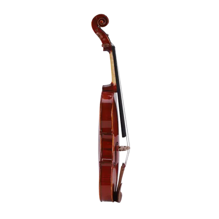 ebony fingerboard advancing student viola close up