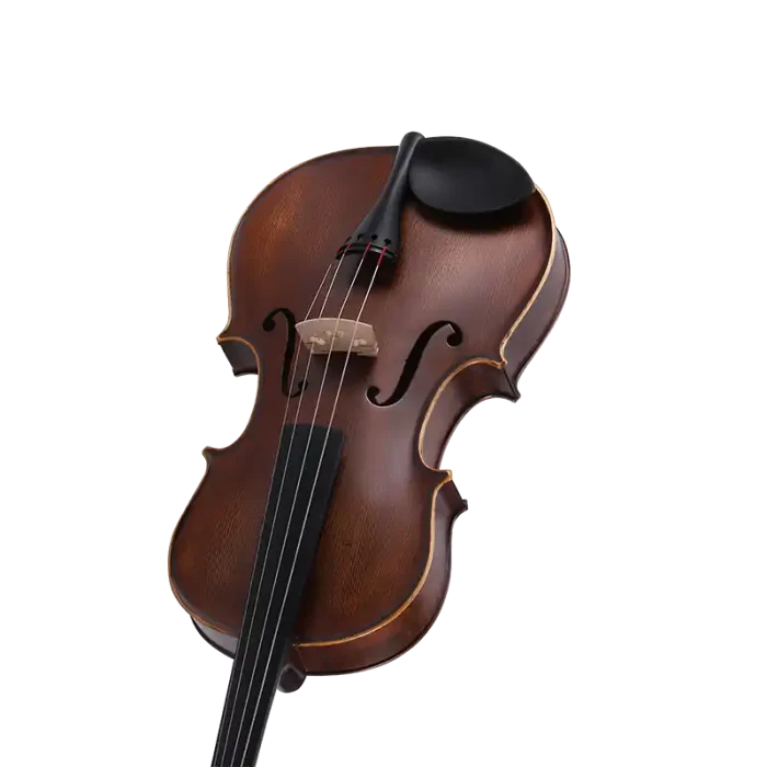 factory direct viola wholesale consistent batch appearance