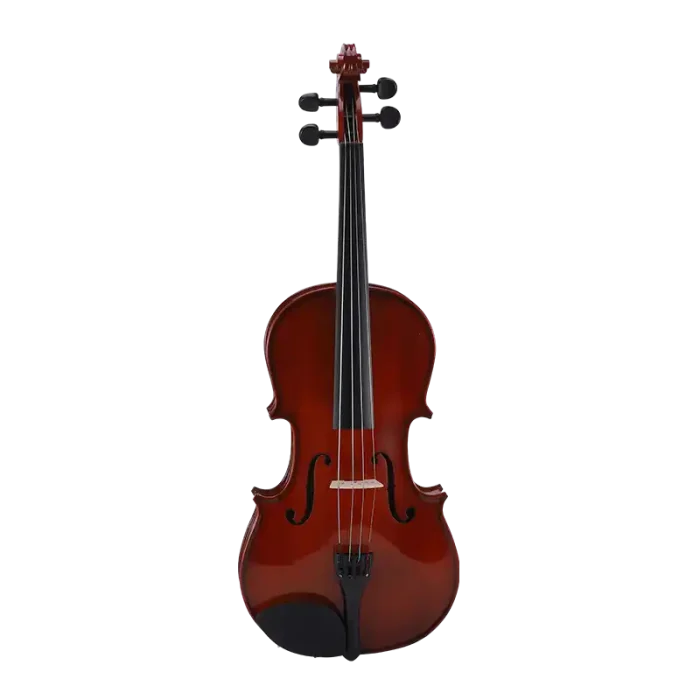 beginner viola wholesale spruce top maple back front view