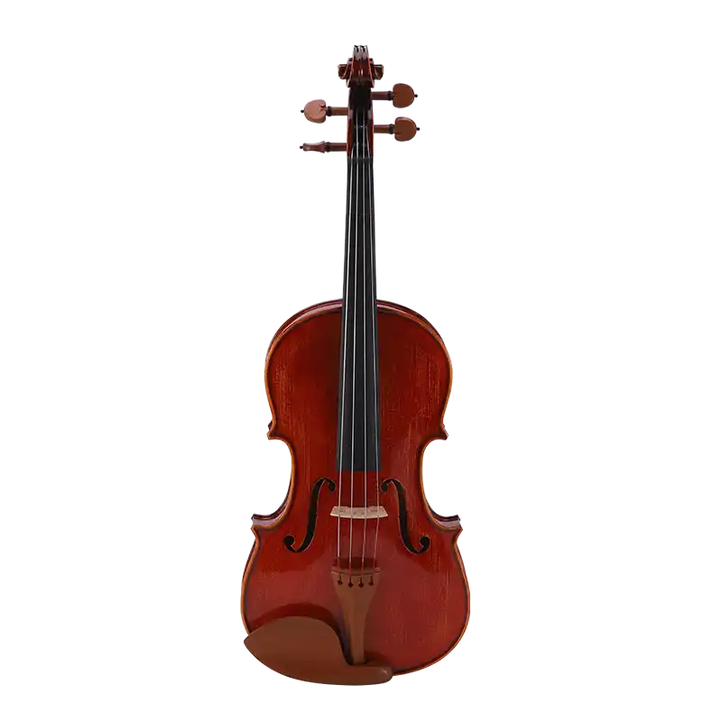 LVA31 · Viola