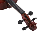 maple back and sides beginner viola wholesale photo