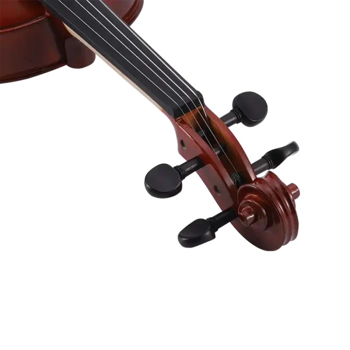 maple back and sides beginner viola wholesale photo