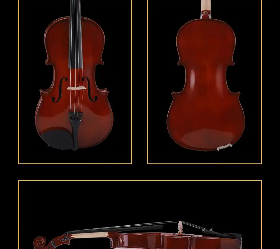 rosewood chin rest entry level viola close up