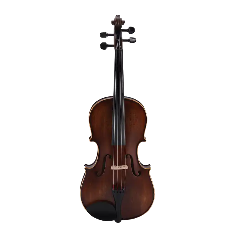 LVA12 · Viola