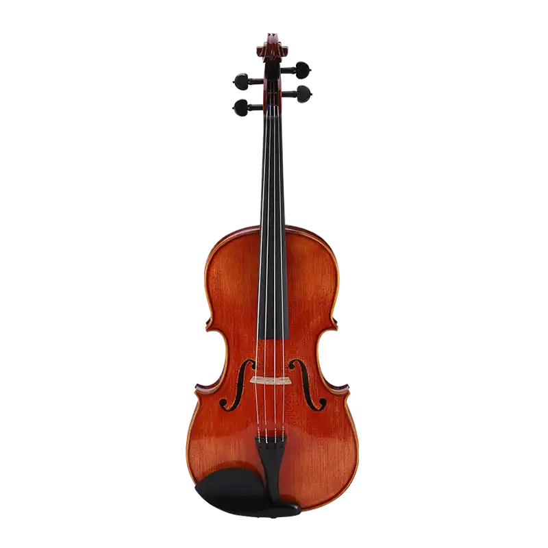 LVA35 · Viola