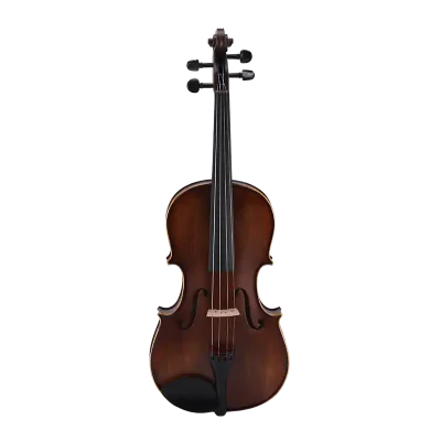student viola wholesale spruce top front view