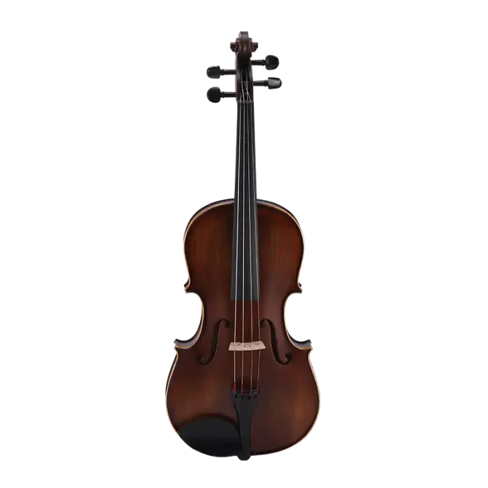 student viola wholesale spruce top front view