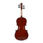 factory direct student viola with triangle hard case