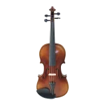 professional violin wholesale spruce top front view with premium outfit