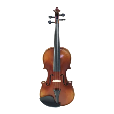 professional violin wholesale spruce top front view with premium outfit