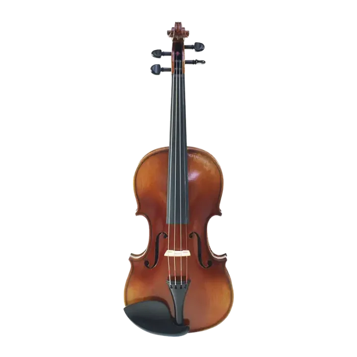 professional violin wholesale spruce top front view with premium outfit